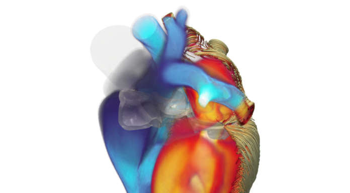 iHEART Simulator, un modello matematico del cuore per rivoluzionare la ricerca cardiaca