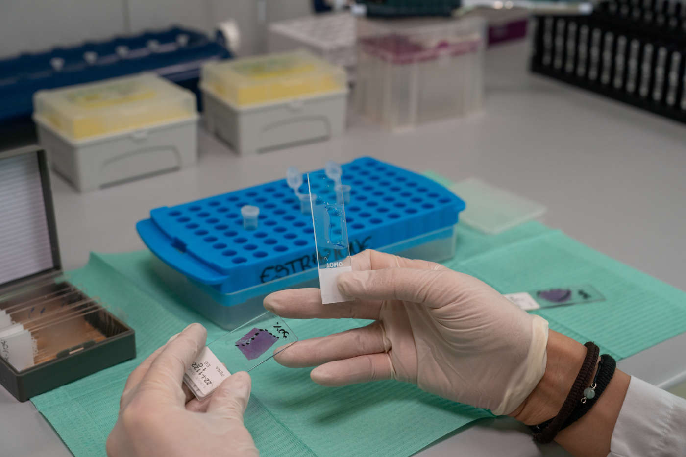 Laboratorio Eurofins Genoma - Analisi test DNA